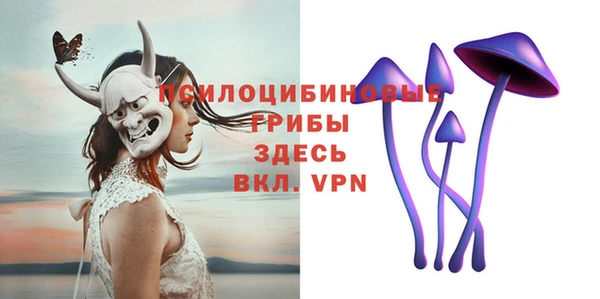 спиды Абаза