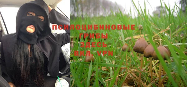 спиды Абаза