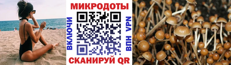 Галлюциногенные грибы Psilocybine cubensis  omg tor  Курск 